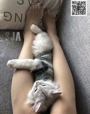 红线电视剧46集免费看