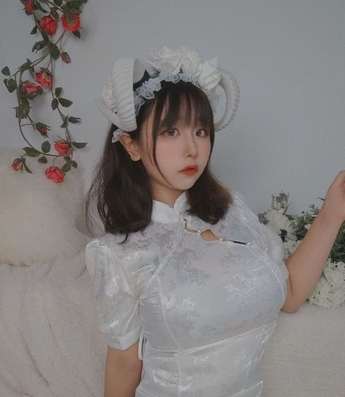 《锦衣卫》甄子丹