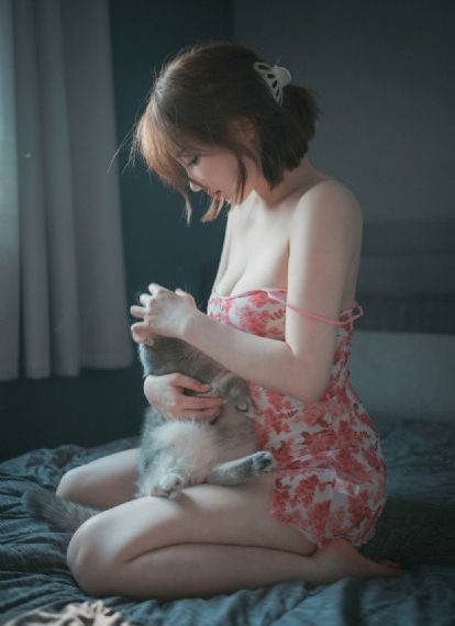 铁血茶城